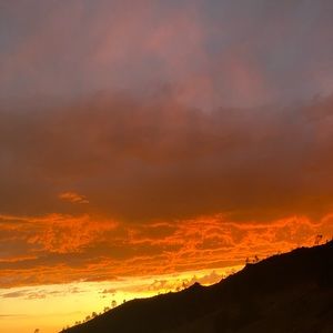 bundles for @hapa_posh